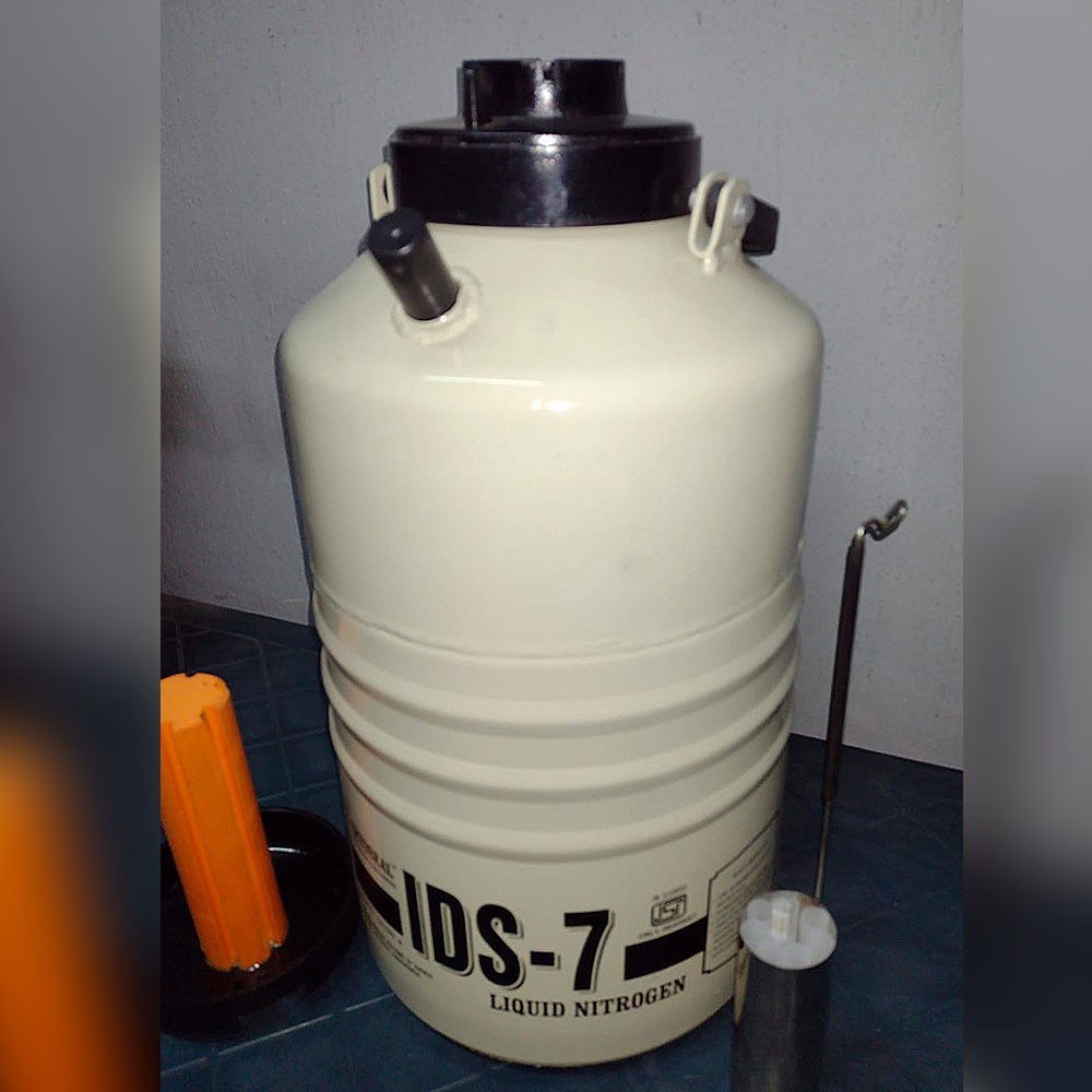 Termo seco INOX IDS7 (Transporte de Semen) Inox